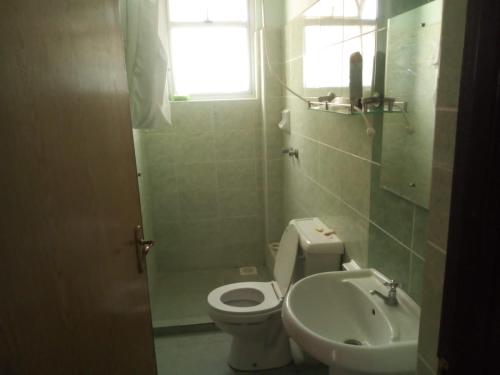キリフィにあるKMA APARTMENTs Gsのトイレと洗面台のある小さなバスルーム
