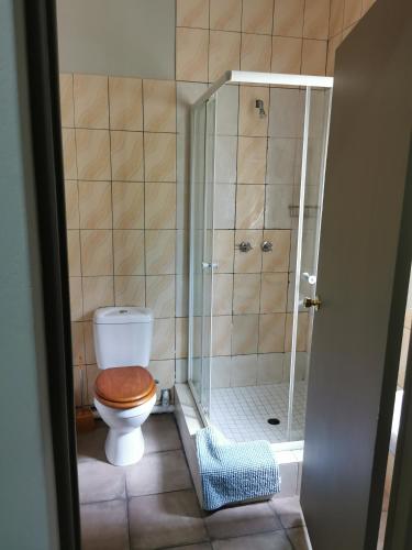 a bathroom with a toilet and a shower at Zonneblom Guest House in Middelburg