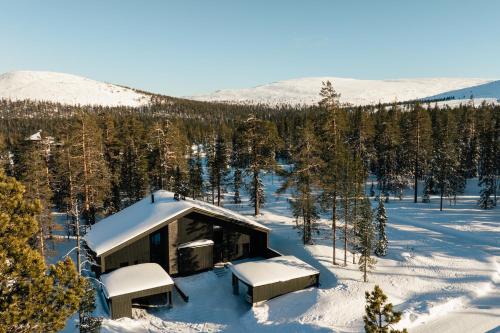 a cabin in the snow in the woods at Luxurious Villa Rakka, Ylläs in Äkäslompolo