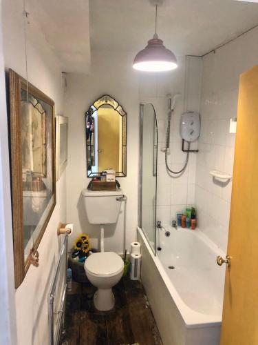 a bathroom with a toilet and a tub and a sink at Seafront balcony, lovely spacious relaxing flat in Hastings