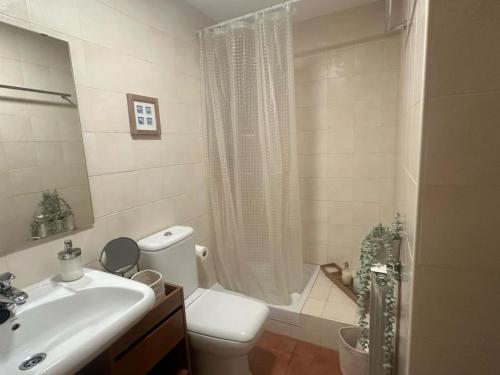 a bathroom with a white toilet and a sink at Winahost Apartamento Temporal Esterri d'Àneu in Esterri d'Àneu