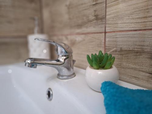 a bathroom sink with a plant in a vase on it at Kökénykuckó in Szeged
