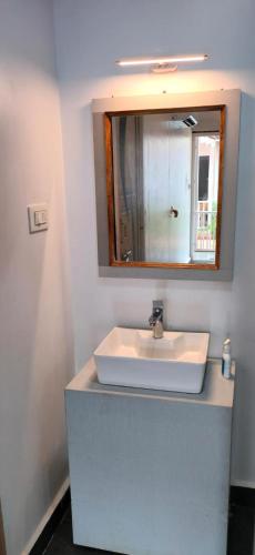 a bathroom with a white sink and a mirror at Serene Beach Agonda in Canacona