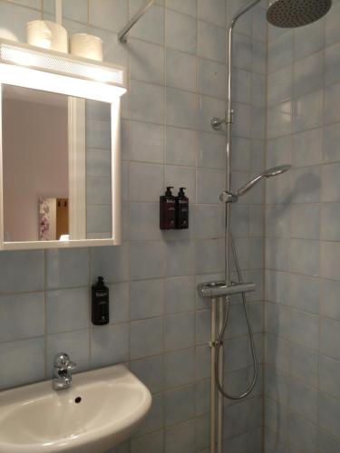 a bathroom with a shower and a sink and a mirror at Hotel Charlotte / Stella in Uppsala