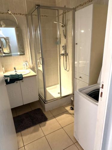 une salle de bain avec douche et lavabo dans l'établissement CASA LOUNA 2 Pièces à 200 m de la plage et du centre vile, à Sari-Solenzara