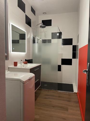 une salle de bain avec une douche, un lavabo et un miroir dans l'établissement L'Intemporel, à Clermont-Ferrand