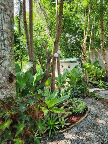 a garden with a bunch of plants and trees at Sotera and Paz Forestville in Silang