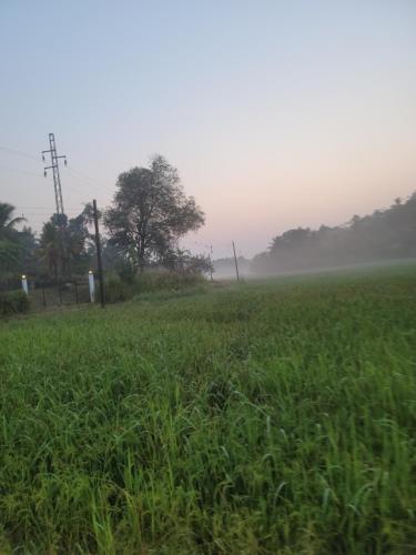 a field of green grass with fog in the background at Sampatha Southern Villa & Restaurant & Cooking class -Talalla in Talalla
