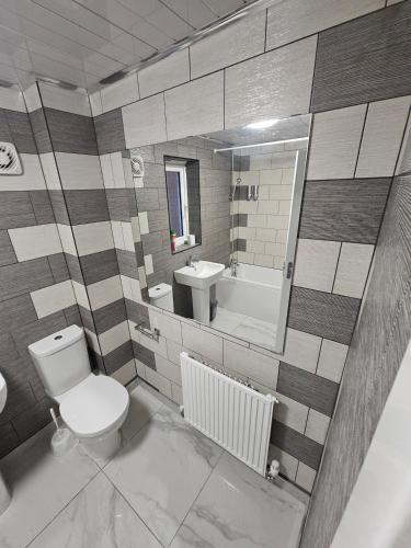 a bathroom with a toilet and a sink and a mirror at Very cosy 3 bedroom house close to city in Longford