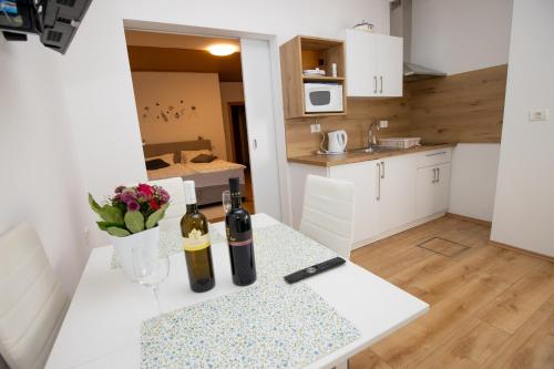 Kuchyň nebo kuchyňský kout v ubytování Guesthouse Sanabor