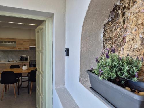 a plant in a pot on a wall next to a kitchen at Apartment K in Pyrgi