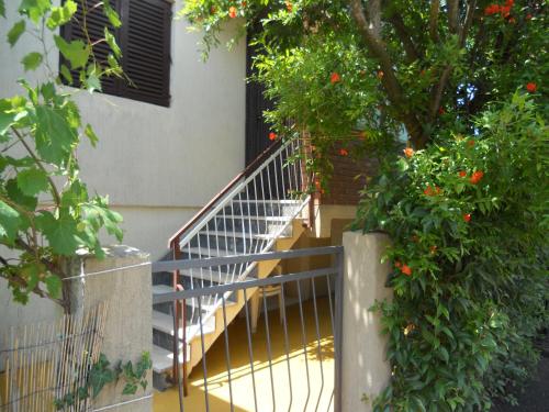 Κήπος έξω από το Apartment Alice