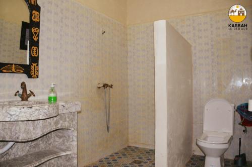 a bathroom with a shower and a toilet and a sink at Kasbah Du Berger & Piscine in Merzouga