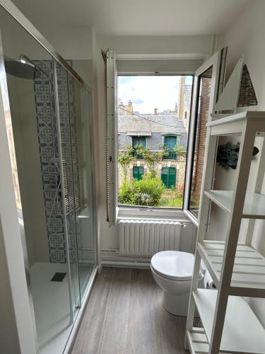 a bathroom with a toilet and a window at Villa Roc Vaudieu - Charmante maison de pêcheurs in Étretat