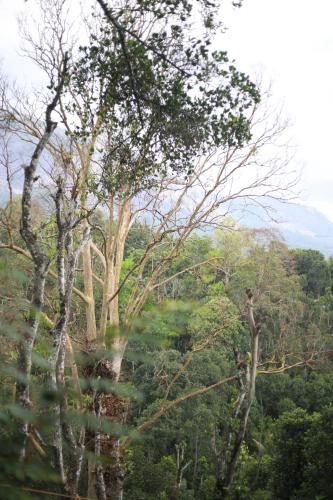 Naturlandschaft in der Nähe des Ferienhauses