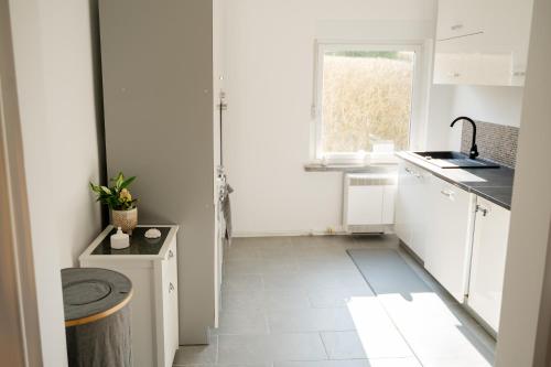 Η κουζίνα ή μικρή κουζίνα στο Ferienhaus-Wehr