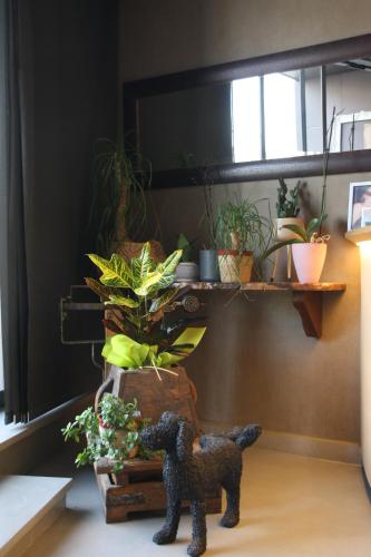 a stuffed dog standing next to a bunch of plants at Hostal Crisami in Solsona