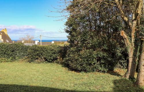 un grand bush à côté d'un arbre dans une cour dans l'établissement 3 Bedroom Stunning Home In Plougasnou, à Plougasnou