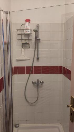 une douche dans une salle de bain avec une pomme de douche dans l'établissement Chambre - Studette Indépendante Zola, à Nantes