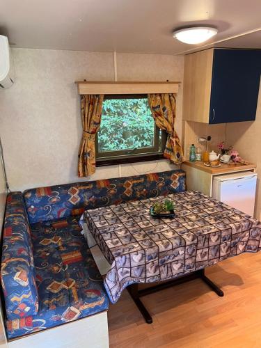 a living room with a couch and a table in an rv at Camping Vigna di Valle in Anguillara Sabazia