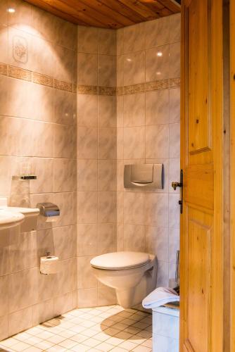 a bathroom with a toilet and a sink at Jagdschloss Windenhütte in Thale