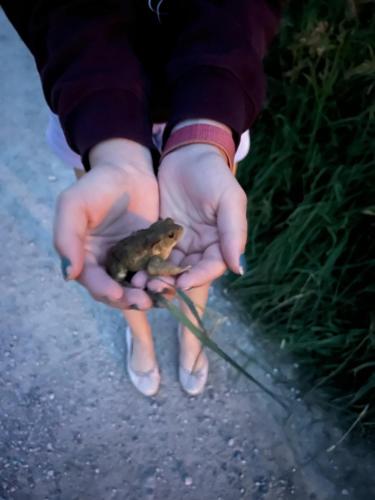 a person holding a small object in their hands at Haus Auszeit in Buchau