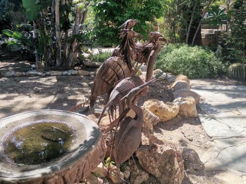 a statue of a bird standing next to a fountain at Guesthouse Terra Africa in Windhoek