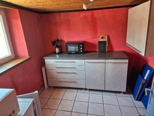 a kitchen with a counter top with a microwave at Haus Colmberg in Colmberg