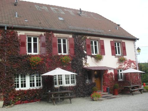 Gallery image of Hôtel du Haut Koenigsbourg- entre vignes et château in Thannenkirch