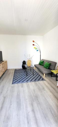 ル・グロー・デュ・ロワにあるThe Driant beach is 50m and 150m from the centerのソファとラグのあるリビングルーム