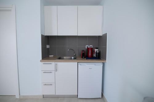 Η κουζίνα ή μικρή κουζίνα στο Xeno Bayview Penthouse Salamina