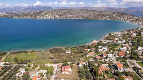 Φυσικό τοπίο κοντά σε αυτό το διαμέρισμα