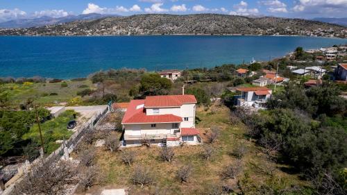 Φυσικό τοπίο κοντά σε αυτό το διαμέρισμα
