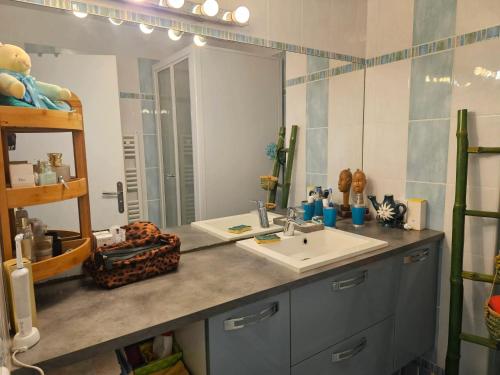 une salle de bain avec un lavabo et un miroir dans l'établissement Appartement spacieux avec vue sur la mer à Sète, à Sète