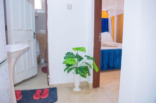 a bathroom with a plant in a vase next to a sink at Bamburi Luxury Homes II One bedroom apartment in Bamburi