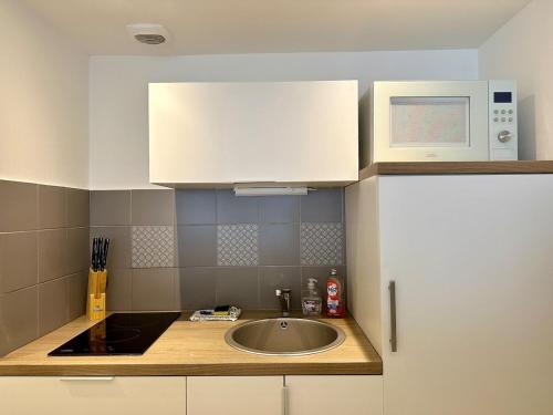 une cuisine avec un évier et un micro-ondes dans l'établissement La Tannière - 4 à 6 personnes - Lit KingSize - Proche Gare, à Nancy
