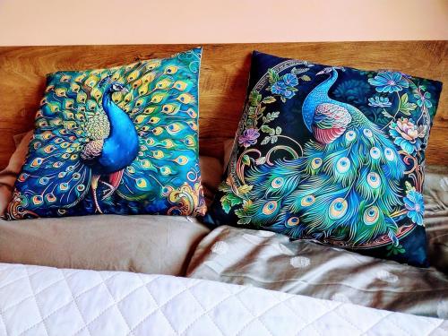 Apartament Bażantów