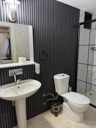 a bathroom with a toilet and a sink and a shower at Akyol Palace in Bolu