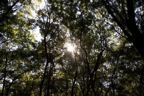 Φυσικό τοπίο κοντά σε αυτό το καταφύγιο
