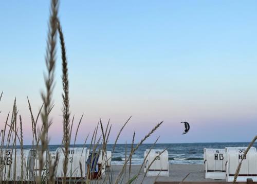 a beach with chairs and the ocean in the background at Haus Strandwinkel Ferienwohnung "Strandwinkel 1" in Scharbeutz