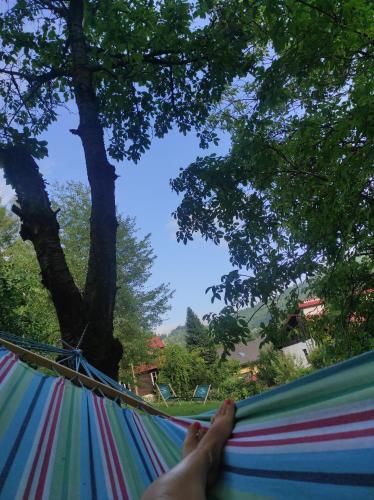 a person laying on a hammock under a tree at Apartamenty Kotarz Sauna&Relaks in Brenna