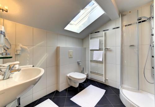 a bathroom with a toilet and a sink and a shower at Pension Leithenwald in Zwiesel