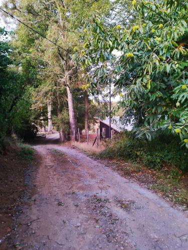 a dirt road with trees and a house in the distance at Estancia Lumaco in Panguipulli