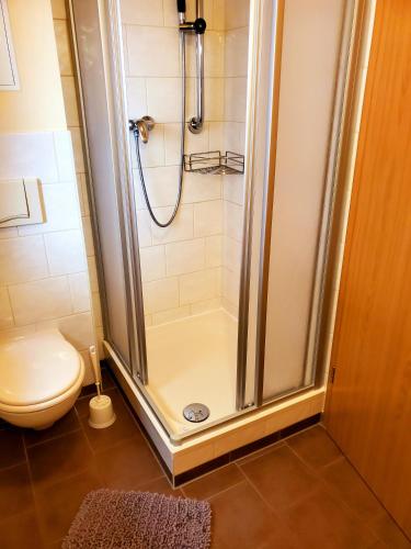 a bathroom with a shower and a toilet at Café am Hirschgrund in Kurort Rathen