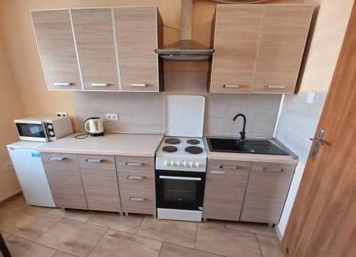 a small kitchen with a stove and a sink at AE BERG Apartamenty in Ujazd