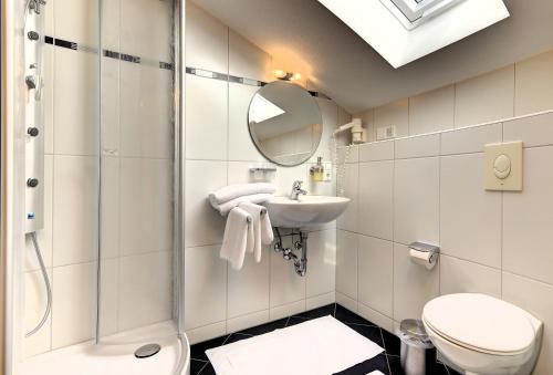 a bathroom with a shower and a toilet and a sink at Pension Leithenwald in Zwiesel