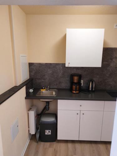 a kitchen with a sink and a counter top at Waldquelle 1 in Plauen