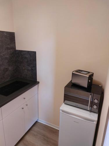 a kitchen with a microwave on top of a refrigerator at Waldquelle 1 in Plauen