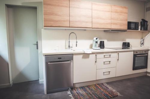 une cuisine avec un évier et un lave-vaisselle dans l'établissement Grand appartement rénové, tout confort, à Nancy