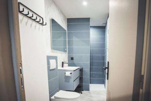 une salle de bain avec toilettes et lavabo dans l'établissement Grand appartement rénové, tout confort, à Nancy